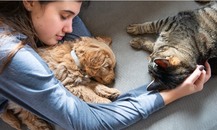 Mascotas en hogares argentinos