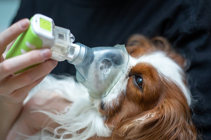 Perro con dificultad respiratoria
